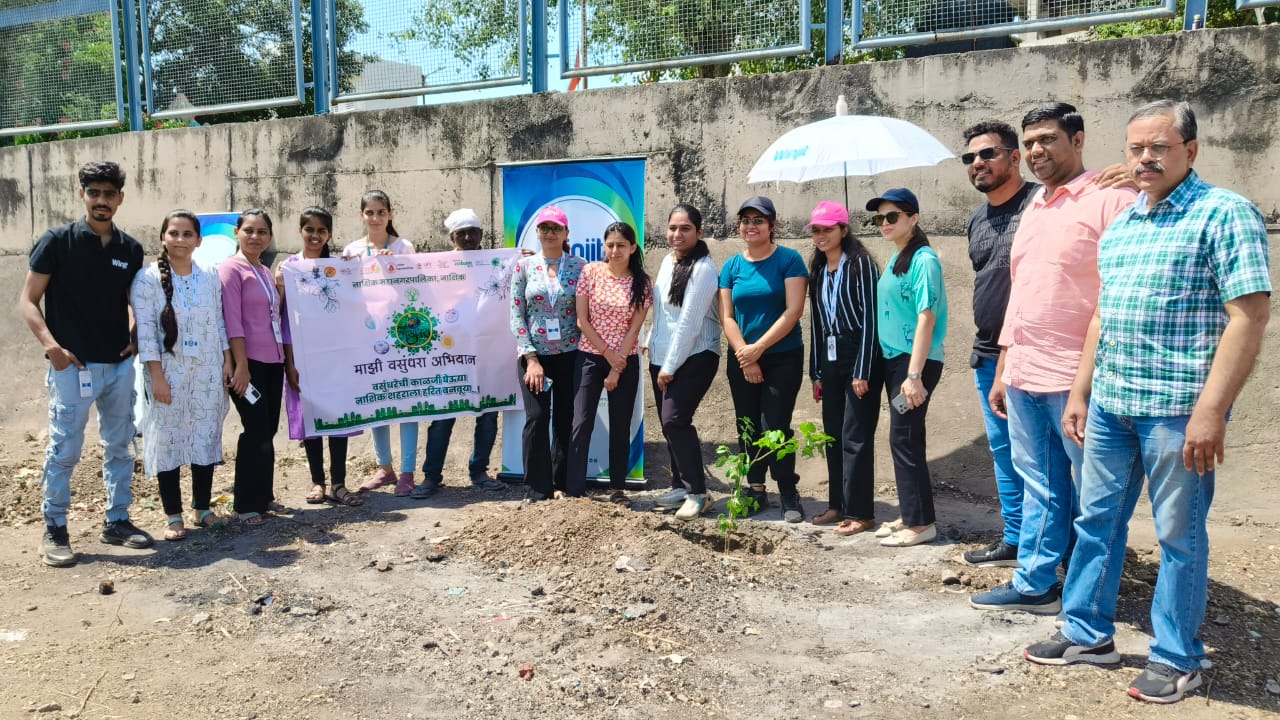 Community working together on tree plantation